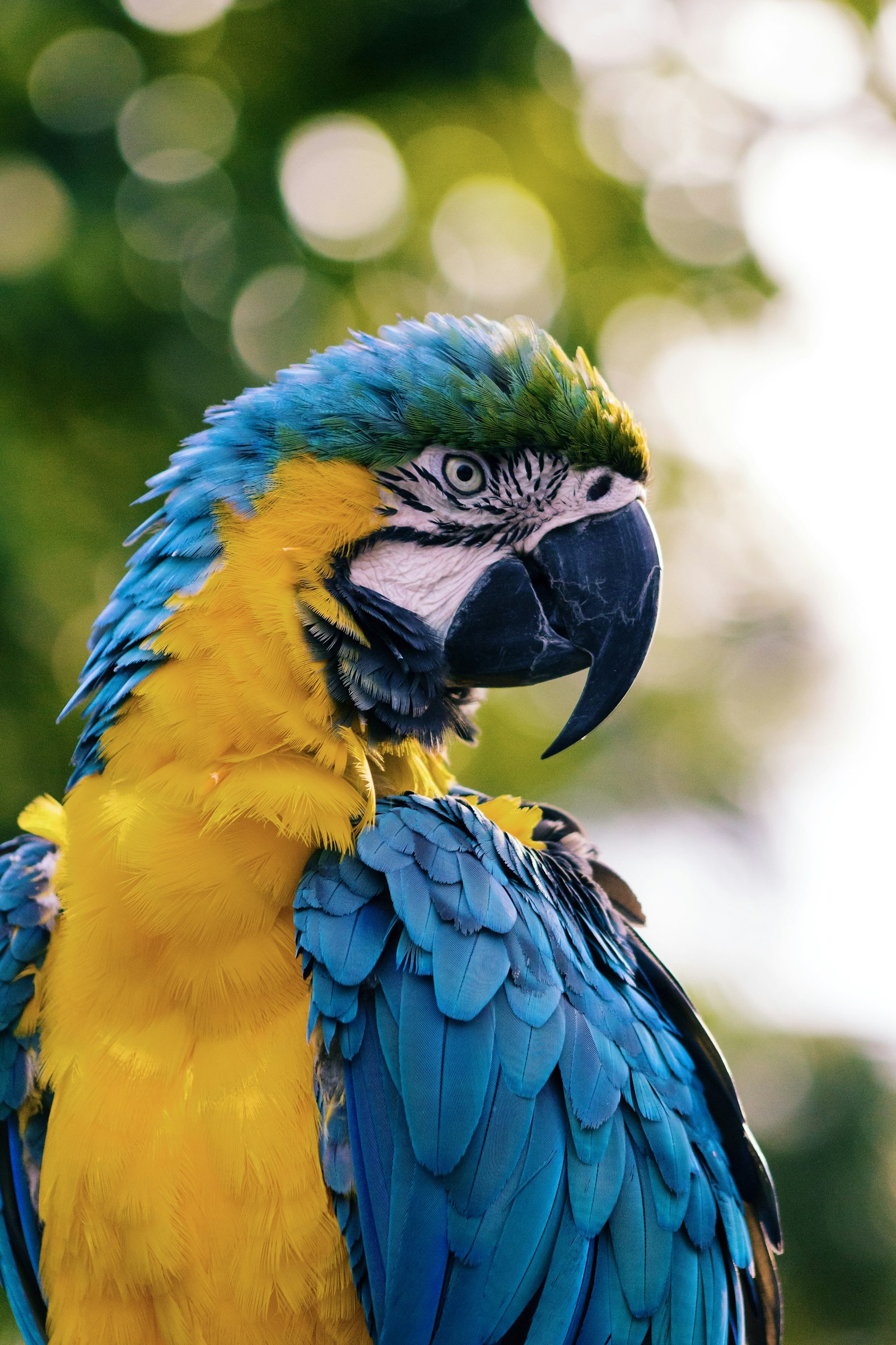 Featured wildlife photograph 2